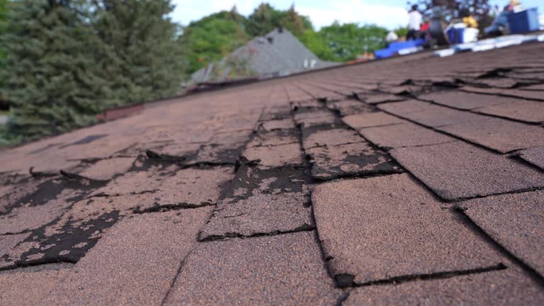 Roof Coating Services in Aberdeen, MD